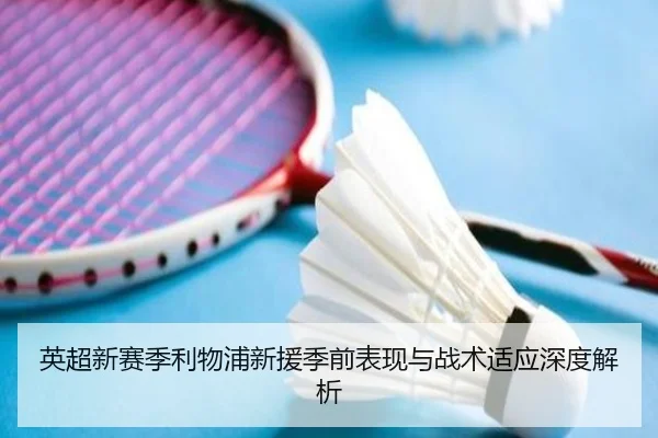 英超新赛季利物浦新援季前表现与战术适应深度解析